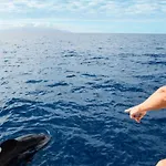 -'ღ'- Couples' Paradise. Insta-worthy Ocean Views.