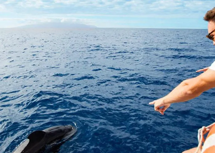 -'ღ'- Couples' Paradise. Insta-worthy Ocean Views.