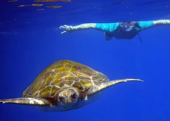 Appartamento -'ღ'- Couples' Paradise. Insta-worthy Ocean Views. Costa Adeje (Tenerife)